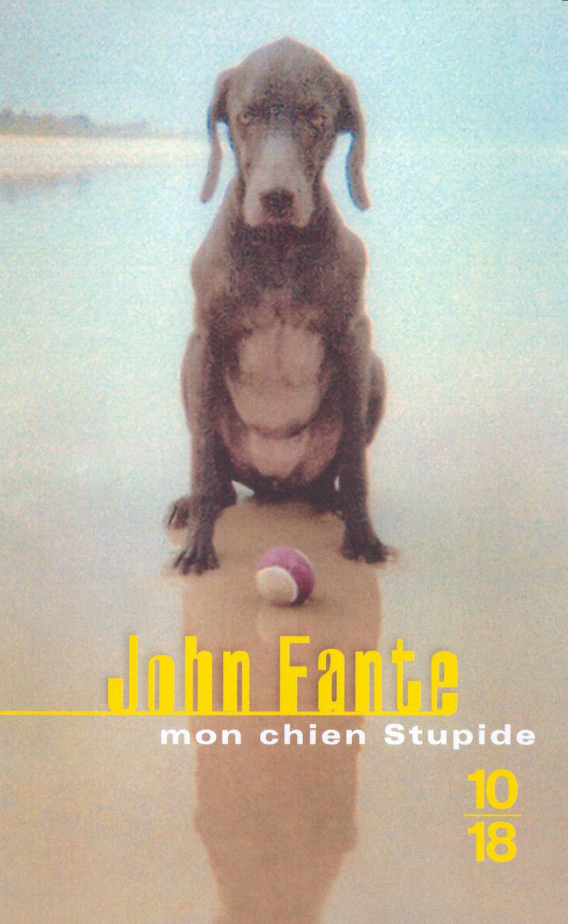 Fante-mon-chien-stupide